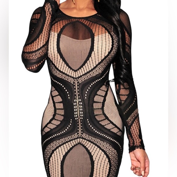BOU BOU Boutique - Black Lace Nude Illusion Long SleevesBodycon Dress- Small - Picture 3 of 7